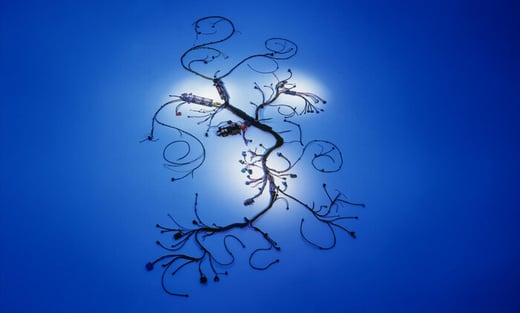 wire harnessing example wide